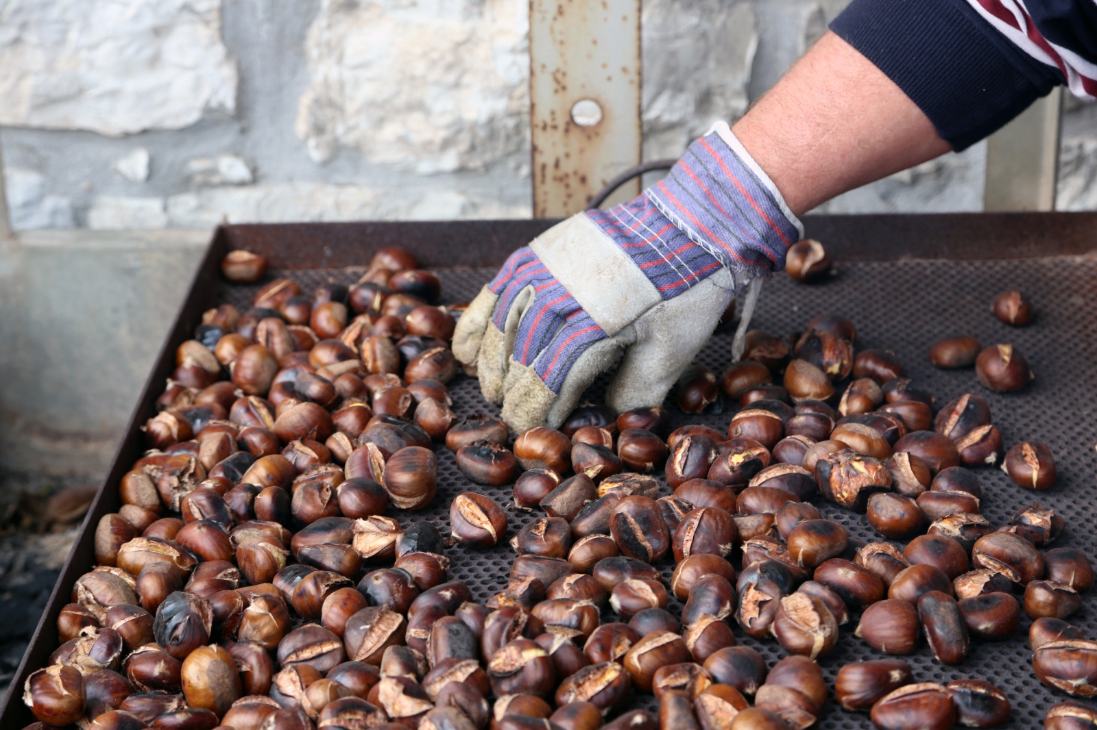 Ampeliona, Chestnut Festival
